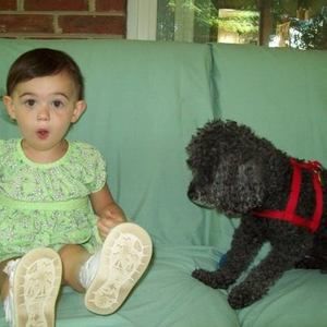 Meet your Posher, Dallas